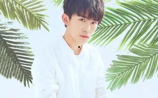 吃瓜直播间爆料娱乐圈易烊千玺,吃瓜直播间独家爆料揭秘  第1张